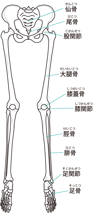 当院での足底筋膜炎に対する整体施術