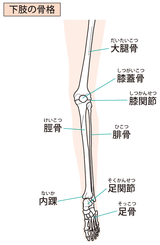 当院での足首に対する整体施術